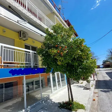 Orange Tree Апартаменты