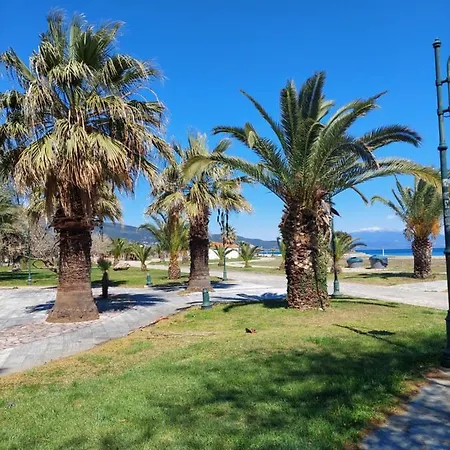 Orange Tree Апартаменты Аспровальта