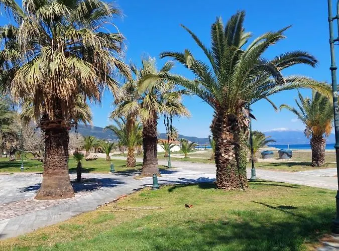 Orange Tree Apartamento Asprovalta