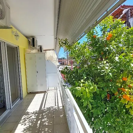 Orange Tree Appartement