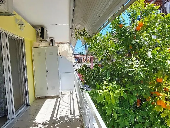 Orange Tree Appartement